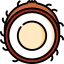 Coconut icon 64x64