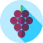 Grapes icon 64x64