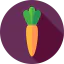 Carrot icon 64x64