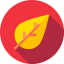 Leaf icon 64x64