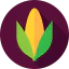 Corn icon 64x64
