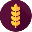 Wheat icon 64x64