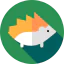 Hedgehog icon 64x64