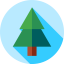 Pine icon 64x64