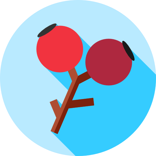 Berries icon