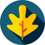 Maple leaf icon 64x64