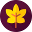 Leaf icon 64x64