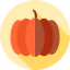 Pumpkin icon 64x64