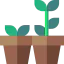 Growing icône 64x64