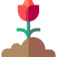 Flower icon 64x64
