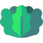 Salad icon 64x64
