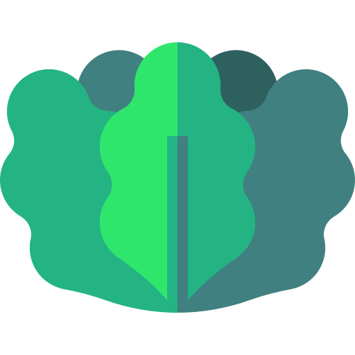 Salad icon