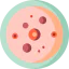Petri dish icon 64x64