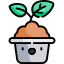 Sprout icon 64x64