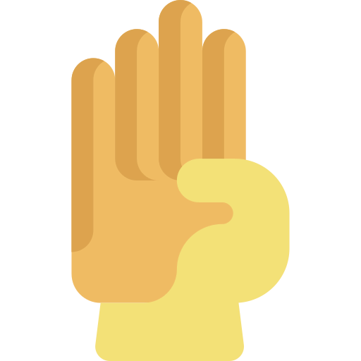 Gloves icon