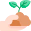 Sprout icon 64x64