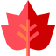 Maple leaf 图标 64x64