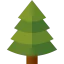 Pine icon 64x64