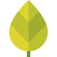 Leaf icon 64x64