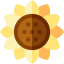 Sunflower icon 64x64