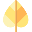 Leaf icon 64x64