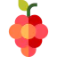 Grapes icon 64x64