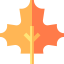 Maple leaf 图标 64x64