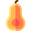 Butternut squash icon 64x64