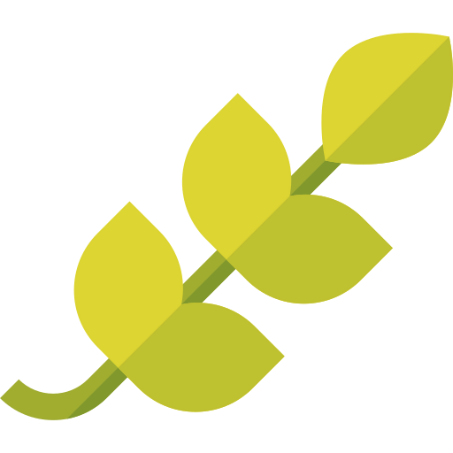 Branch icon