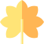 Leaf icon 64x64