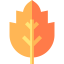Leaf icon 64x64