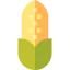 Corn icon 64x64