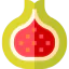 Fig icon 64x64
