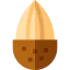 Almond icon 64x64