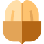 Nut icon 64x64