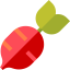 Radish icon 64x64