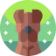 Dog icon 64x64