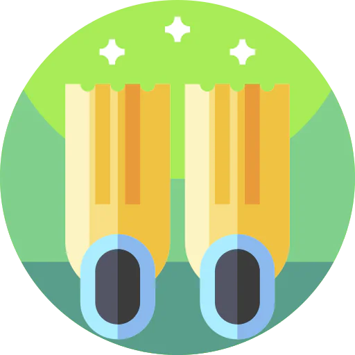 Flippers icon
