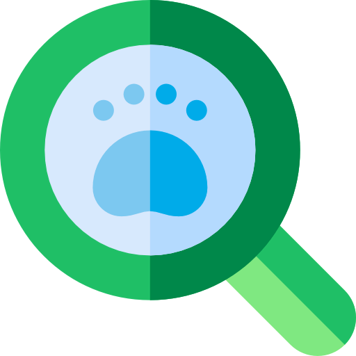 Missing icon
