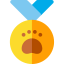 Medal アイコン 64x64