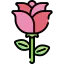 Rose icon 64x64