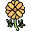 Marigold icon 64x64