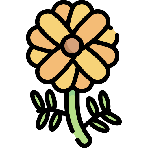 Marigold icon