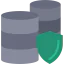 Data protection icon 64x64