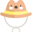 Cowboy hat icon 64x64
