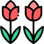 Tulip icon 64x64