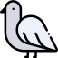 Dove icon 64x64