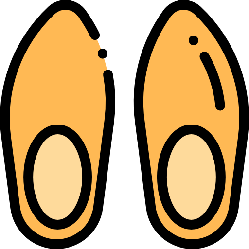 Clogs icon