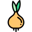 Tulip icon 64x64