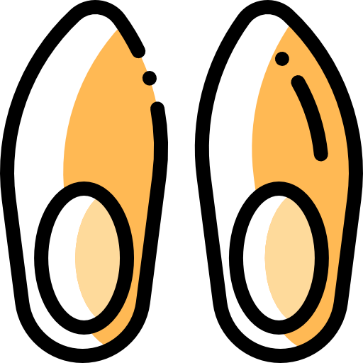 Clogs icon